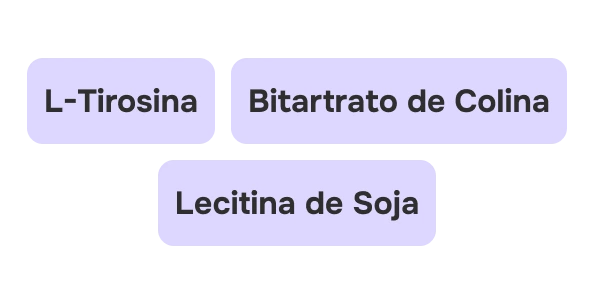 Componentes para memória